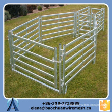 Heavy Duty Fabricant directement vendu Galvanized Grassland Fence